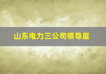 山东电力三公司领导层