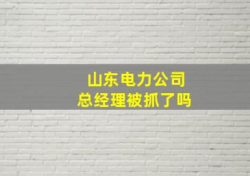 山东电力公司总经理被抓了吗