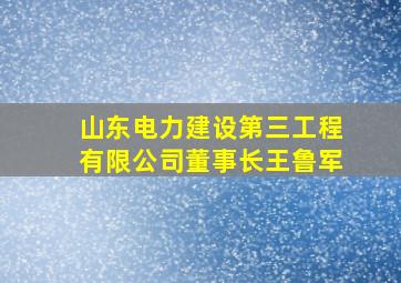 山东电力建设第三工程有限公司董事长王鲁军