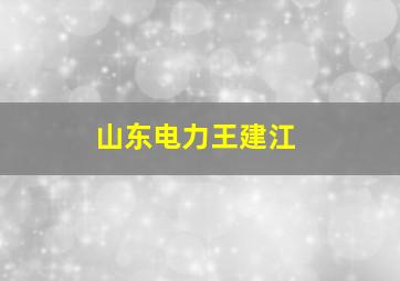 山东电力王建江