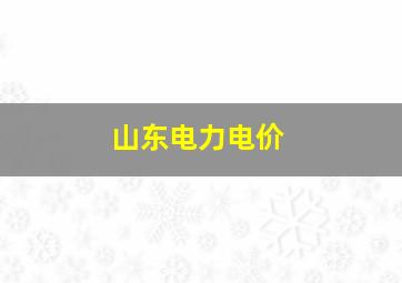 山东电力电价