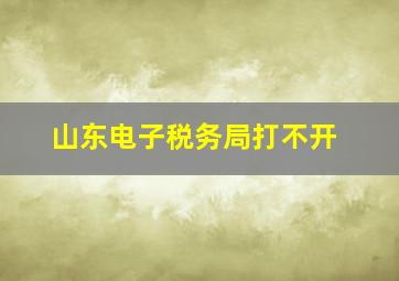 山东电子税务局打不开