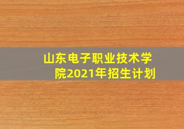 山东电子职业技术学院2021年招生计划