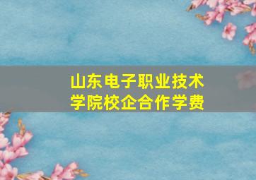 山东电子职业技术学院校企合作学费