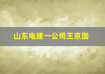 山东电建一公司王京国