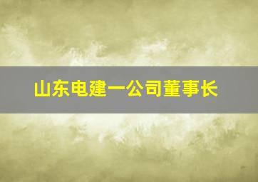 山东电建一公司董事长