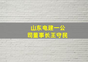 山东电建一公司董事长王守民