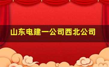 山东电建一公司西北公司