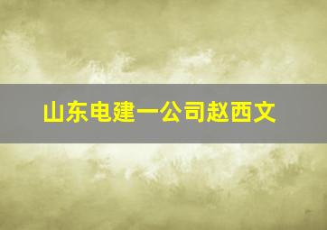 山东电建一公司赵西文