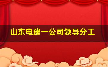 山东电建一公司领导分工