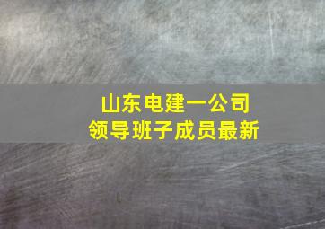 山东电建一公司领导班子成员最新