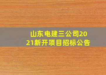 山东电建三公司2021新开项目招标公告