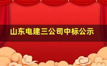 山东电建三公司中标公示