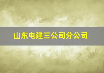 山东电建三公司分公司