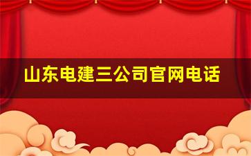 山东电建三公司官网电话