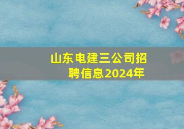 山东电建三公司招聘信息2024年