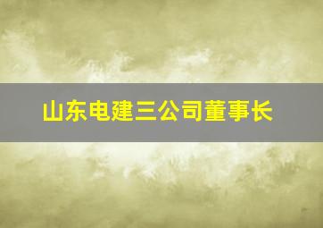 山东电建三公司董事长