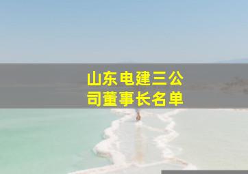 山东电建三公司董事长名单