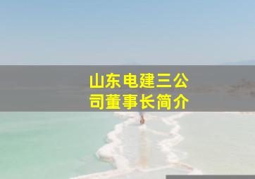 山东电建三公司董事长简介