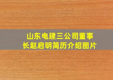 山东电建三公司董事长赵启明简历介绍图片