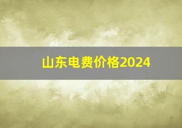 山东电费价格2024