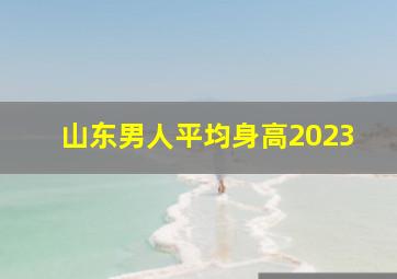 山东男人平均身高2023