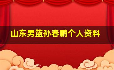 山东男篮孙春鹏个人资料