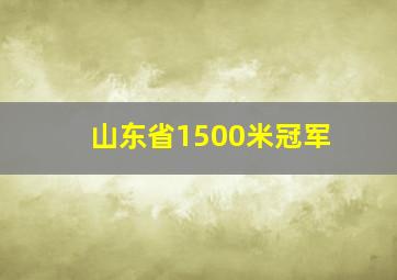 山东省1500米冠军