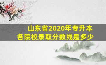 山东省2020年专升本各院校录取分数线是多少