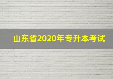 山东省2020年专升本考试