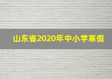 山东省2020年中小学寒假