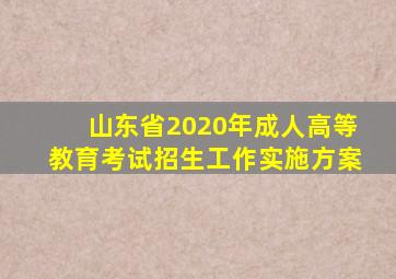 山东省2020年成人高等教育考试招生工作实施方案