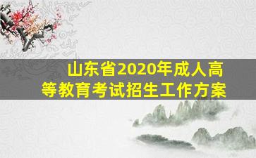 山东省2020年成人高等教育考试招生工作方案