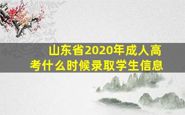 山东省2020年成人高考什么时候录取学生信息