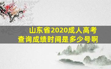 山东省2020成人高考查询成绩时间是多少号啊