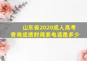 山东省2020成人高考查询成绩时间表电话是多少