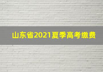 山东省2021夏季高考缴费