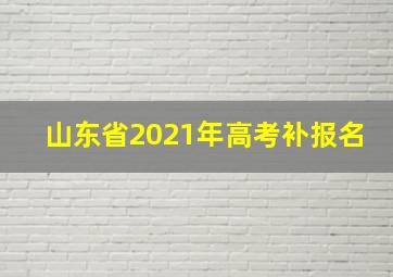 山东省2021年高考补报名