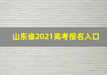 山东省2021高考报名入口