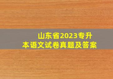 山东省2023专升本语文试卷真题及答案