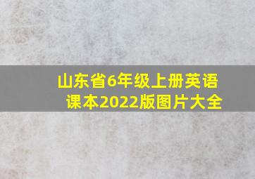 山东省6年级上册英语课本2022版图片大全