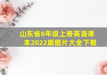 山东省6年级上册英语课本2022版图片大全下载