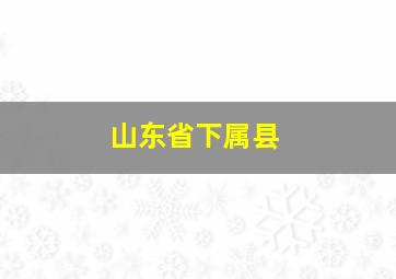 山东省下属县