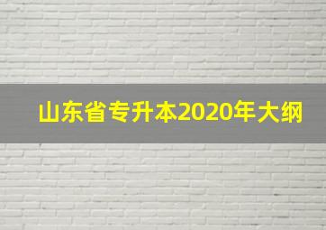 山东省专升本2020年大纲