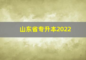 山东省专升本2022