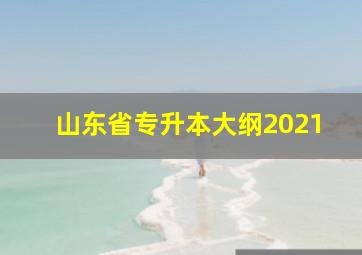 山东省专升本大纲2021