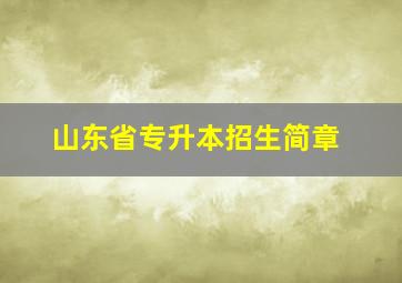 山东省专升本招生简章