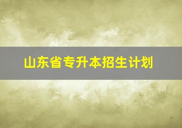 山东省专升本招生计划