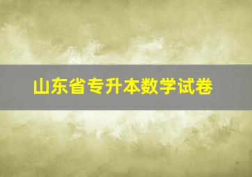 山东省专升本数学试卷