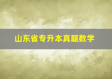 山东省专升本真题数学